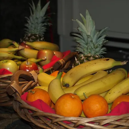 فندق هوتل إكسابالا Ses Cadenes